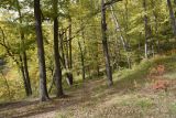 Скала Молоток, image of landscape/habitat.