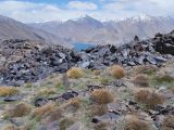 Image of landscape