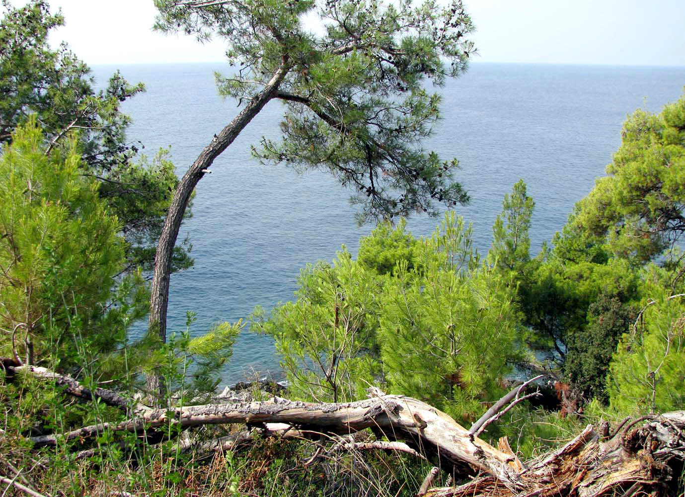 Баньоле, image of landscape/habitat.