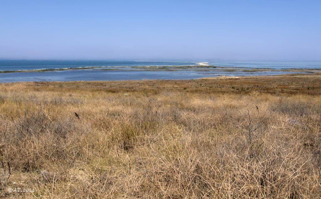 Таманский полуостров, image of landscape/habitat.