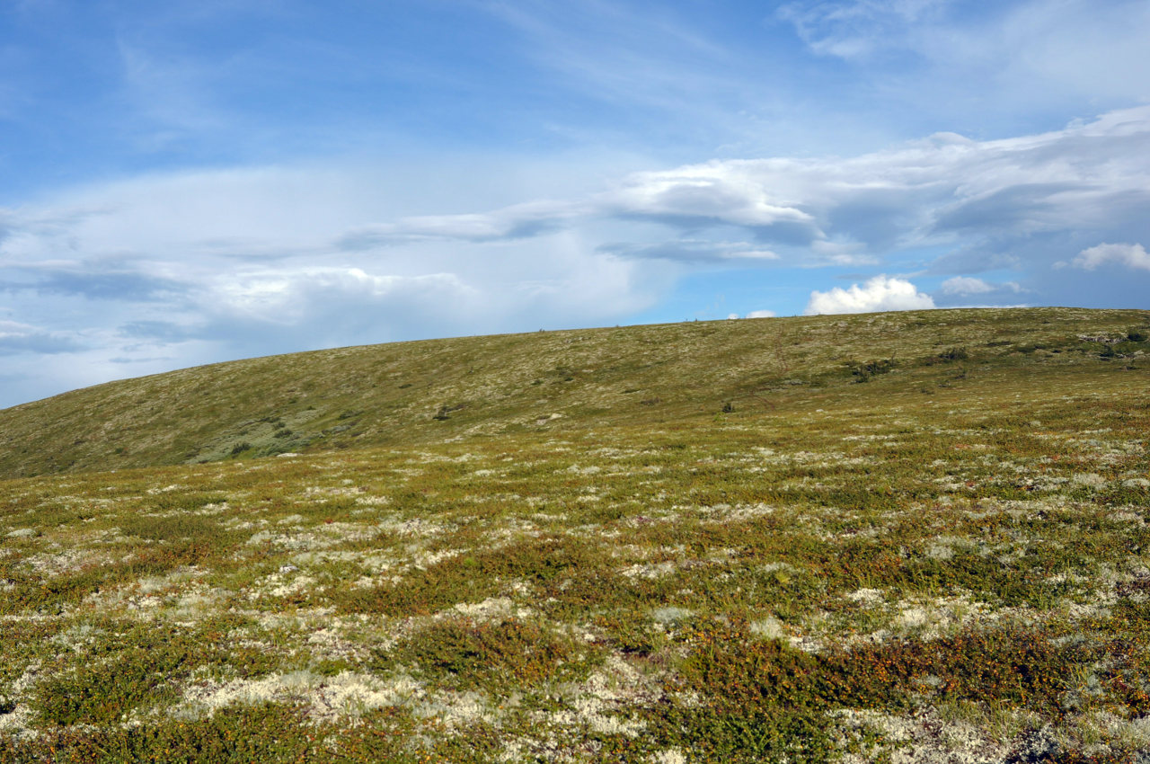 Мань-Пупунёр, image of landscape/habitat.