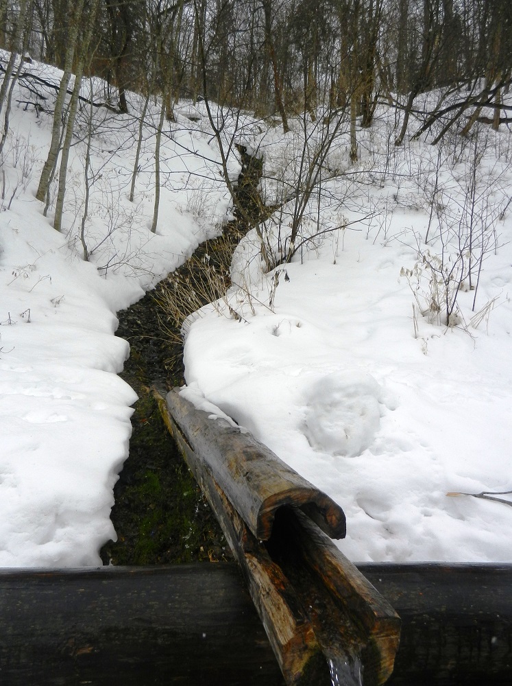 Гремячий ключ, image of landscape/habitat.