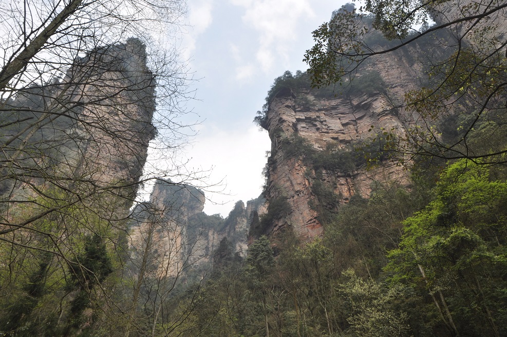 Долина ручья Золотой Кнут, image of landscape/habitat.