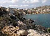 Image of landscape
