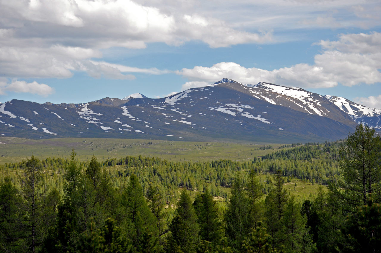 Улаганский перевал, изображение ландшафта.