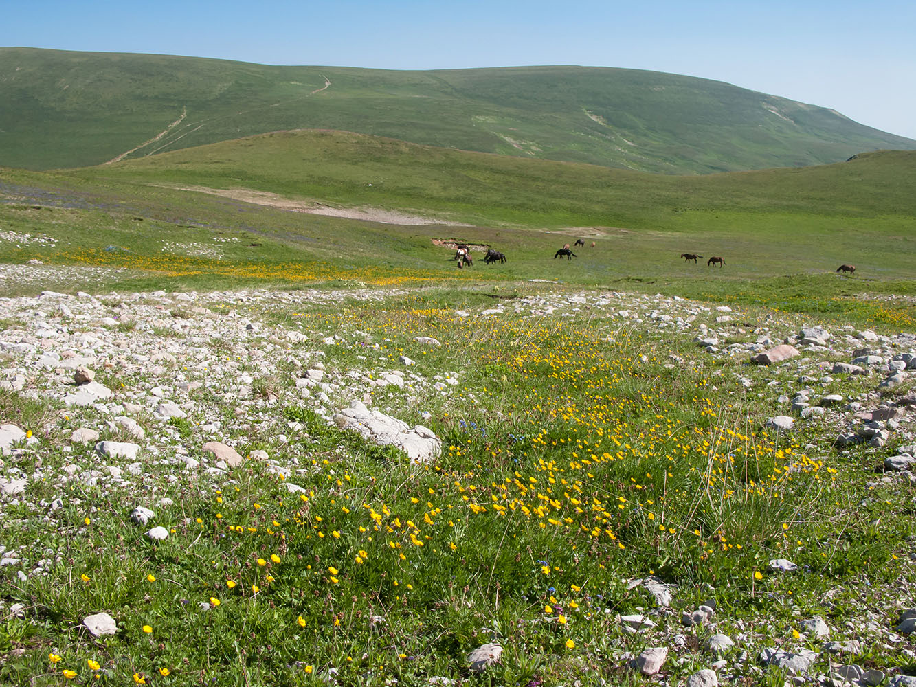 Оштен, image of landscape/habitat.