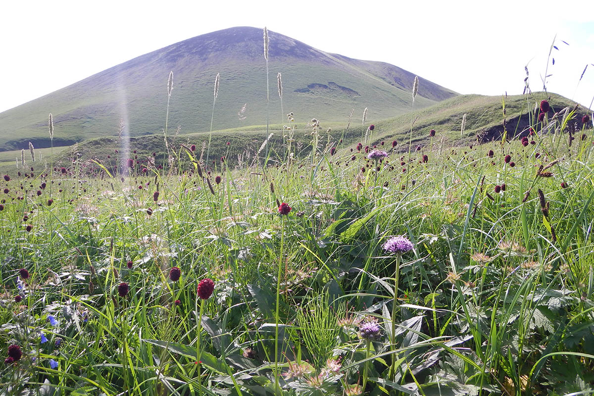 Подкова, image of landscape/habitat.