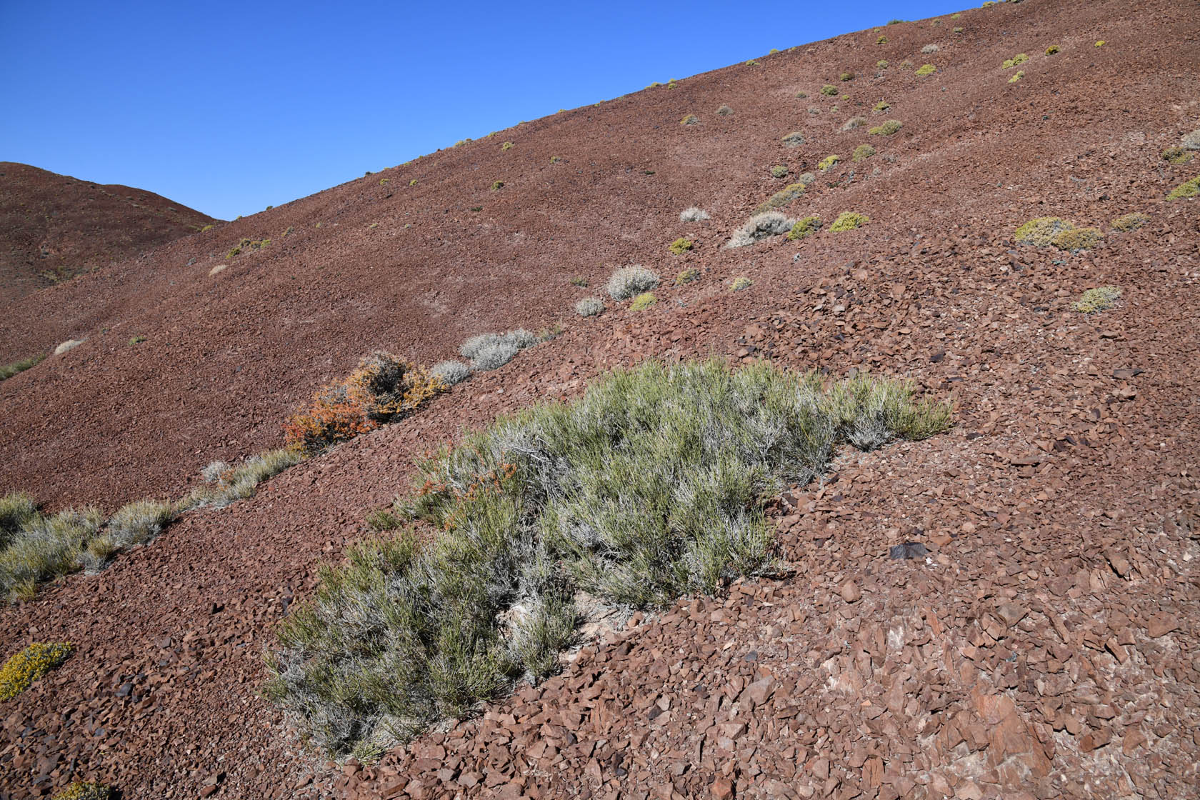 Горы Улькен-Богуты, image of landscape/habitat.