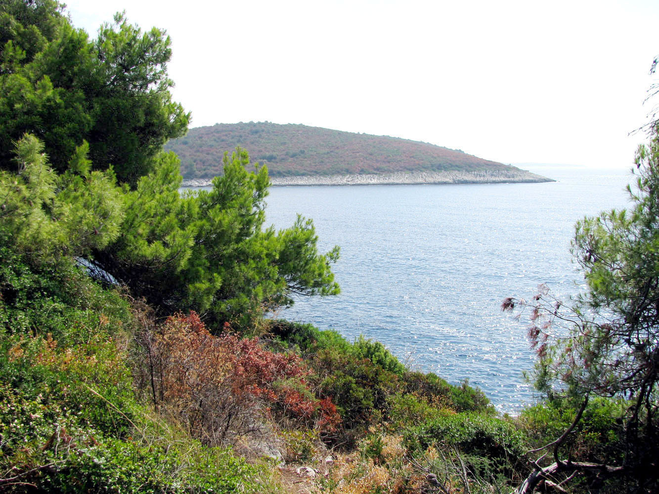 Баньоле, image of landscape/habitat.
