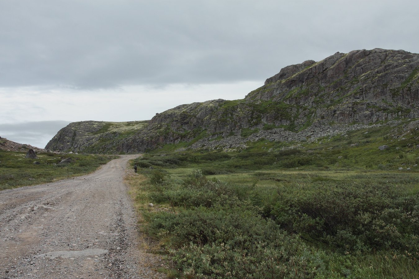 Дальние Зеленцы, image of landscape/habitat.