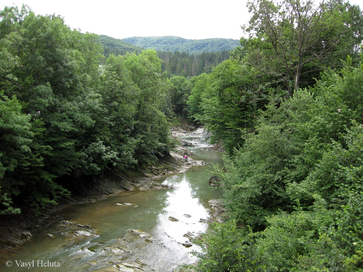 Шешоры, image of landscape/habitat.