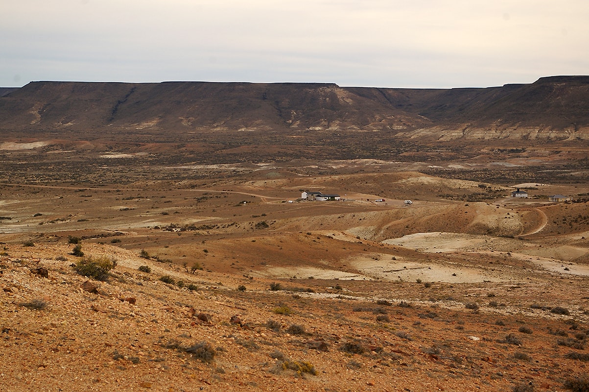 Окаменевший лес в Патагонии, image of landscape/habitat.