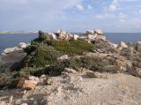 Image of landscape