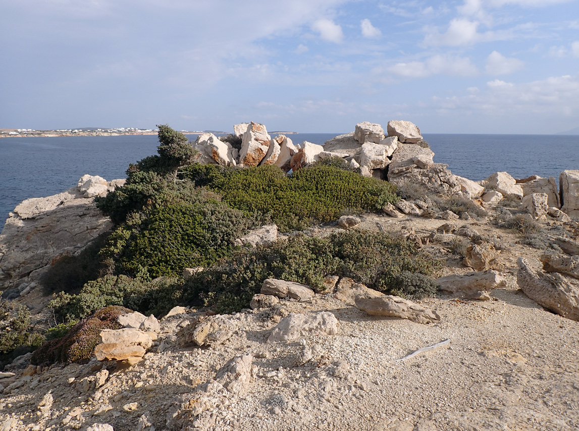 Остров Парос, image of landscape/habitat.