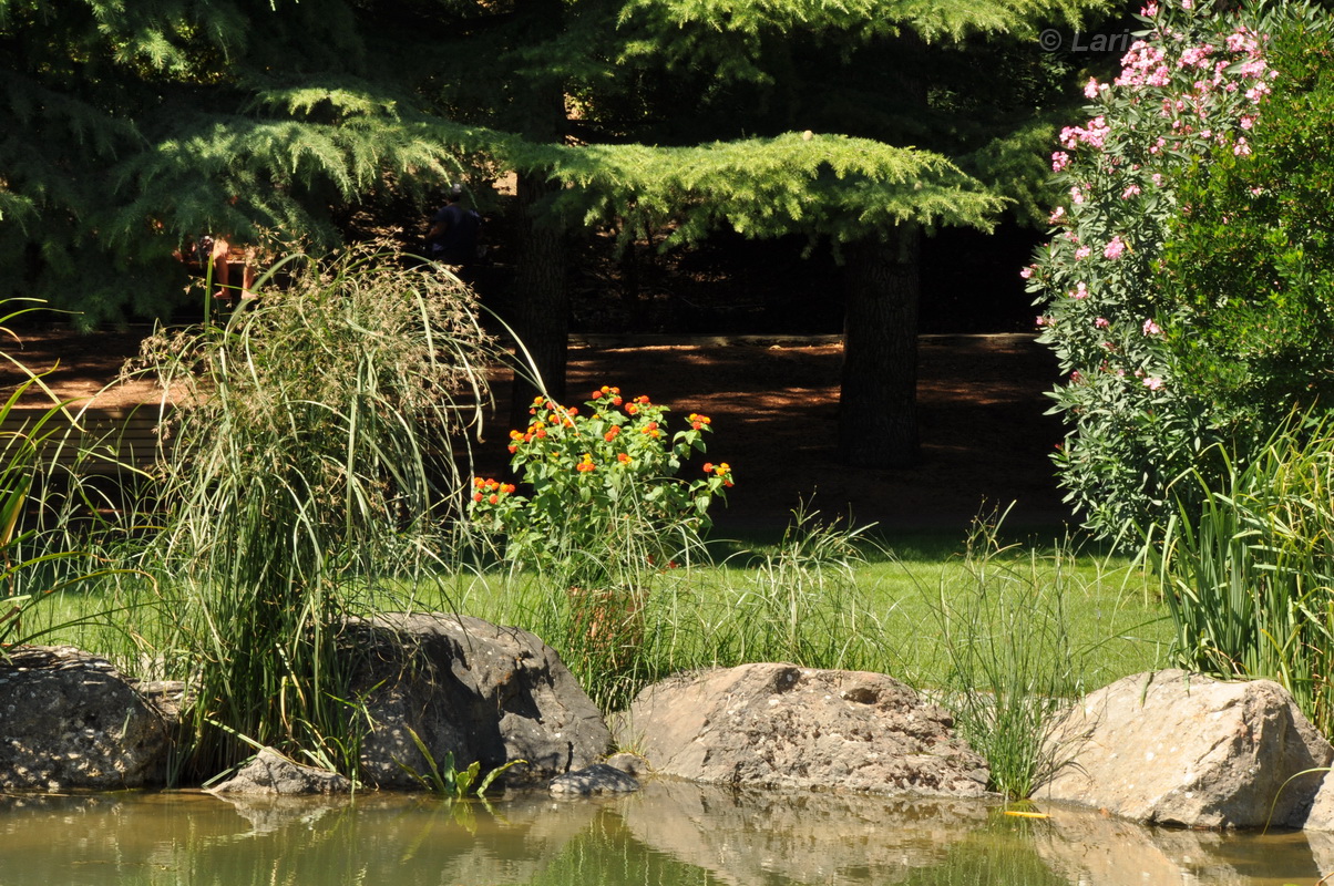 "Айвазовское", image of landscape/habitat.