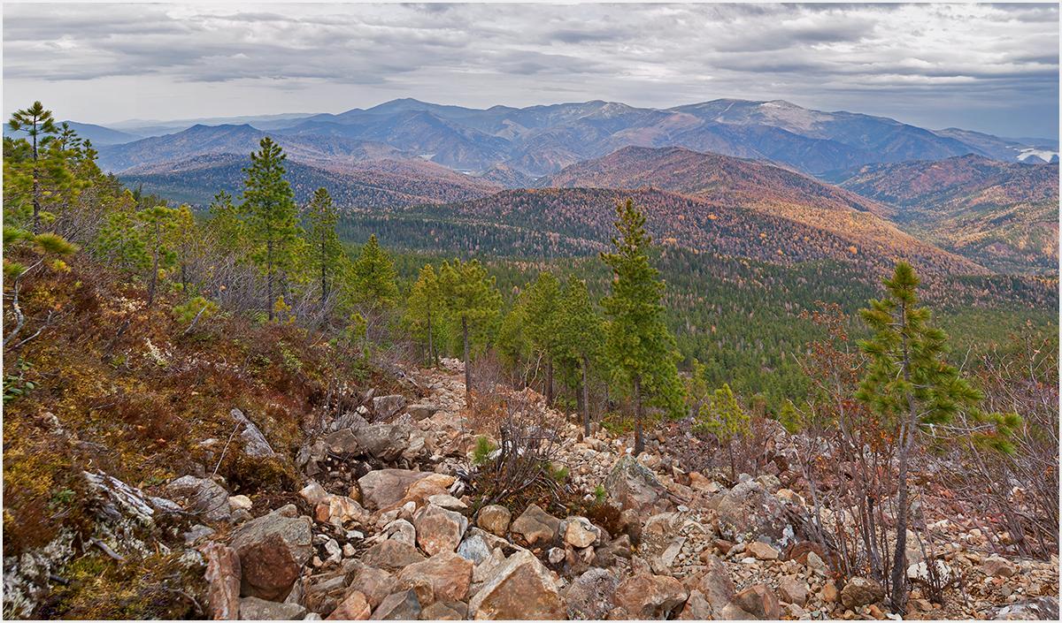 Борус, image of landscape/habitat.