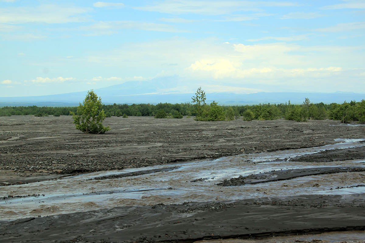 Подкова, image of landscape/habitat.