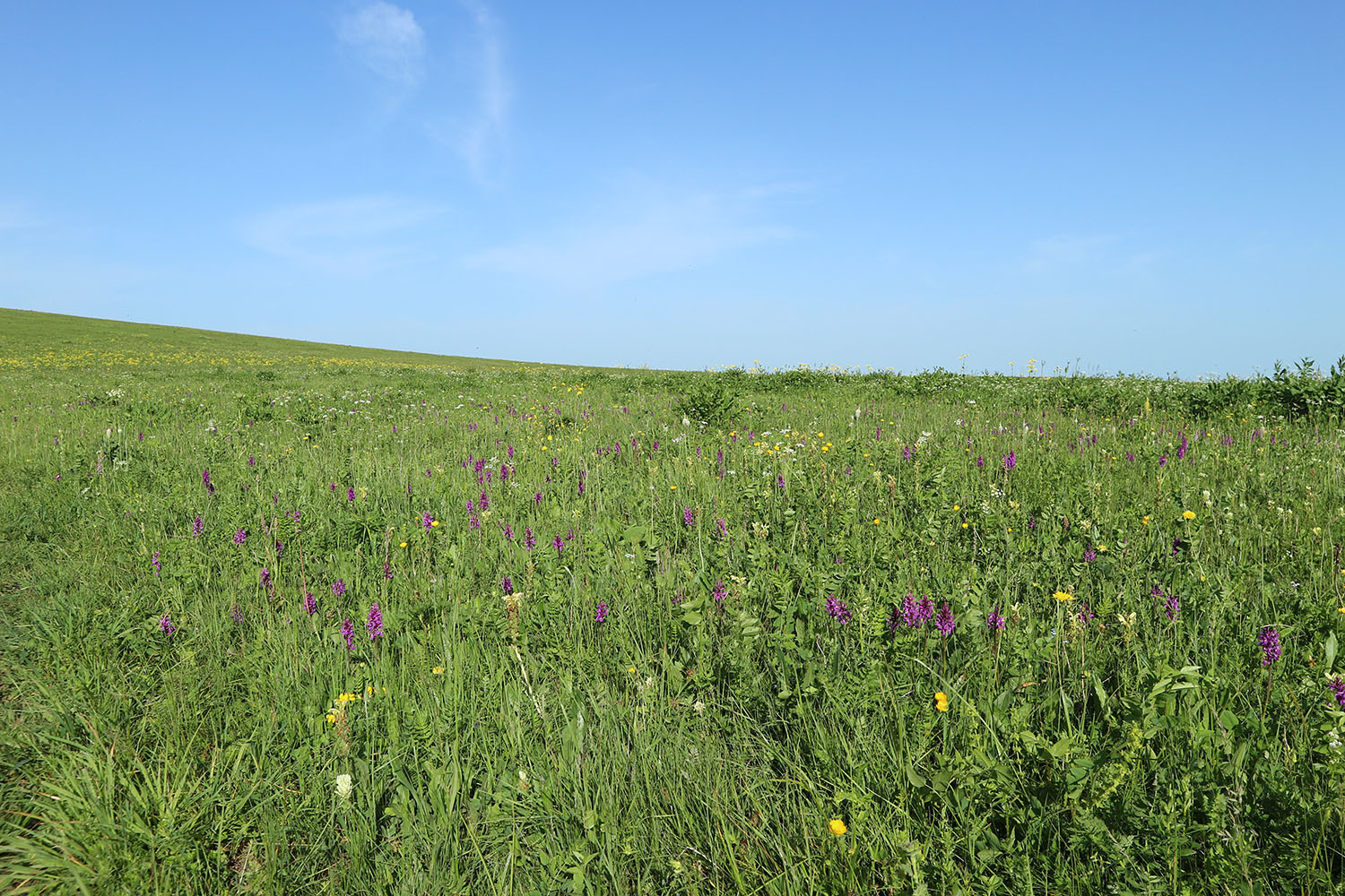 Джисса, image of landscape/habitat.