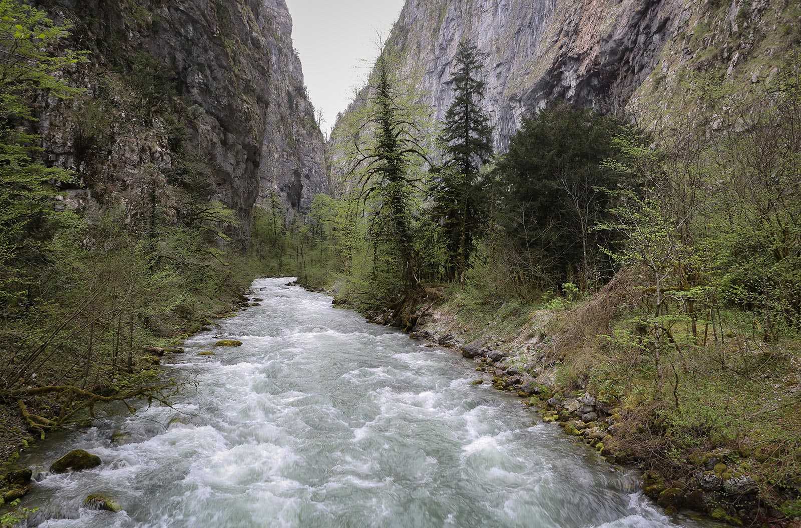 Юпшарский каньон, image of landscape/habitat.
