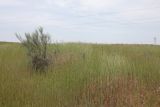 Image of landscape