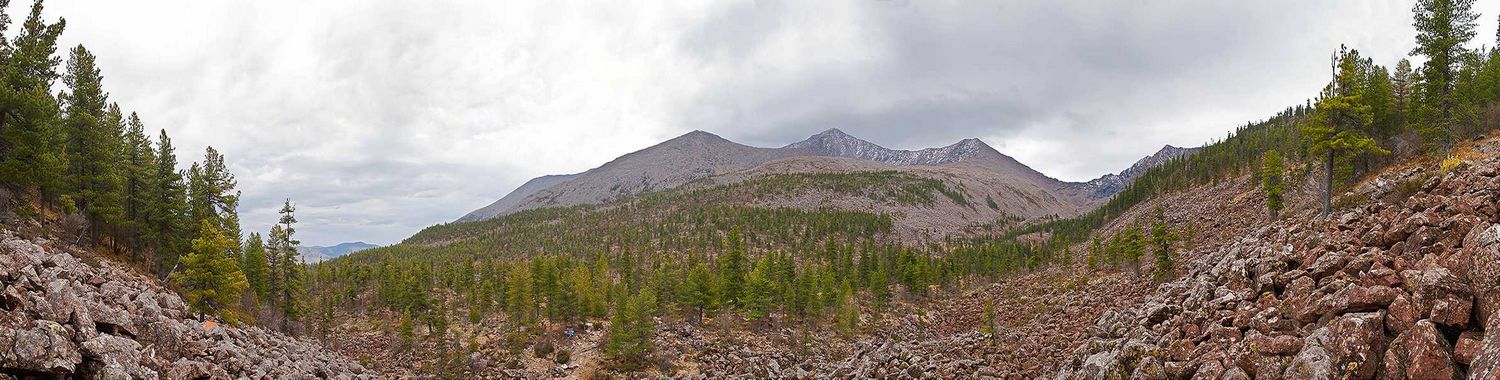 Борус, image of landscape/habitat.