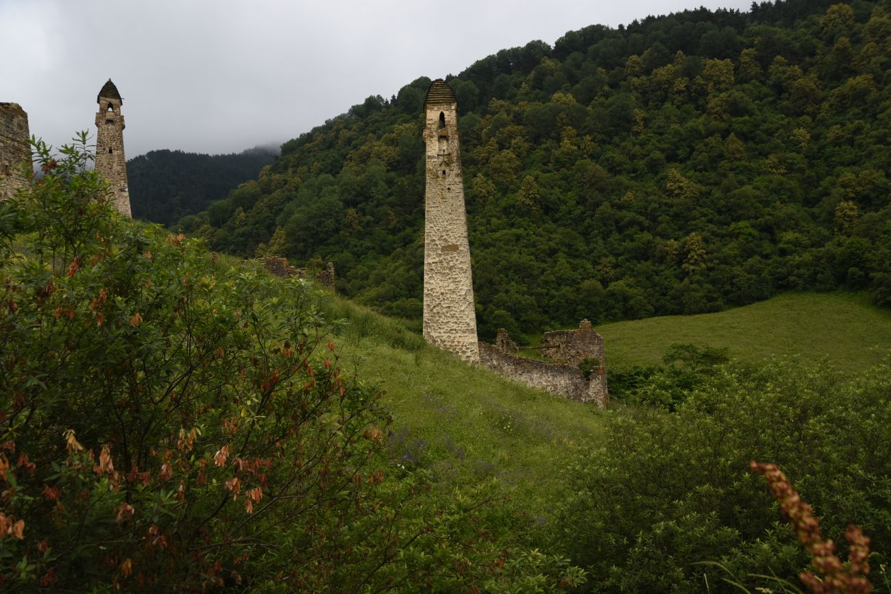 Урочище Хяни, image of landscape/habitat.