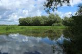 Image of landscape