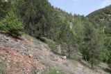 Image of landscape