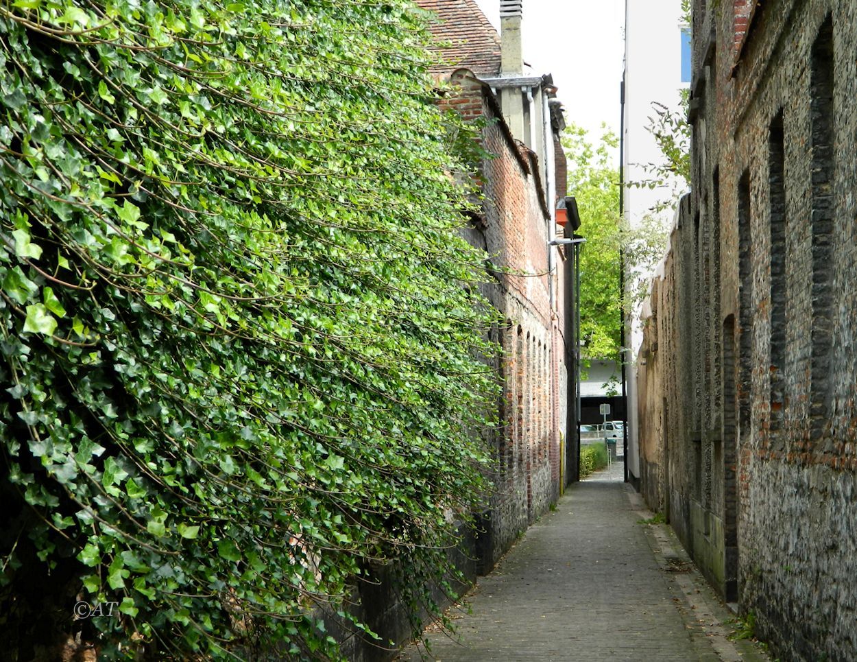 Турне (Tournai), image of landscape/habitat.