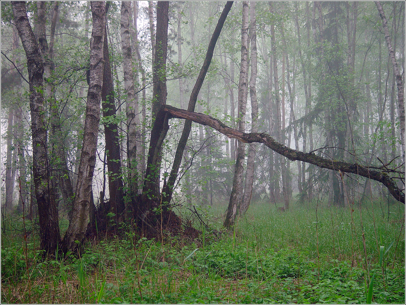 Окрестности Хрипани, image of landscape/habitat.