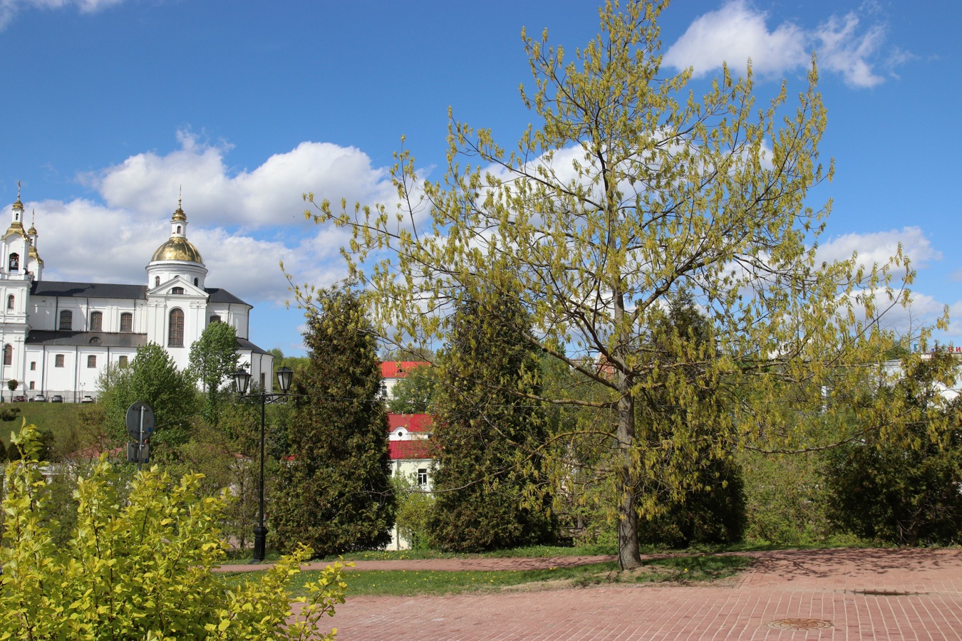 Центр Витебска, image of landscape/habitat.