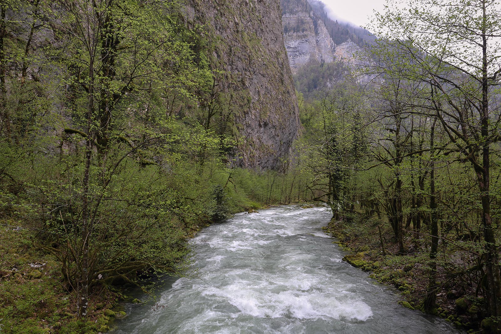 Юпшарский каньон, image of landscape/habitat.