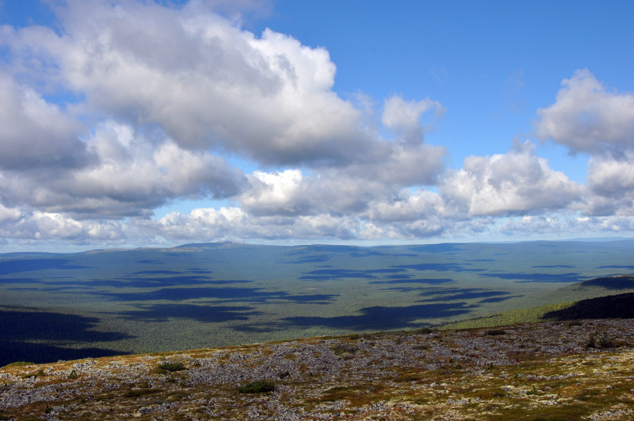 Мань-Пупунёр, image of landscape/habitat.