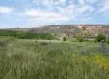 Image of landscape