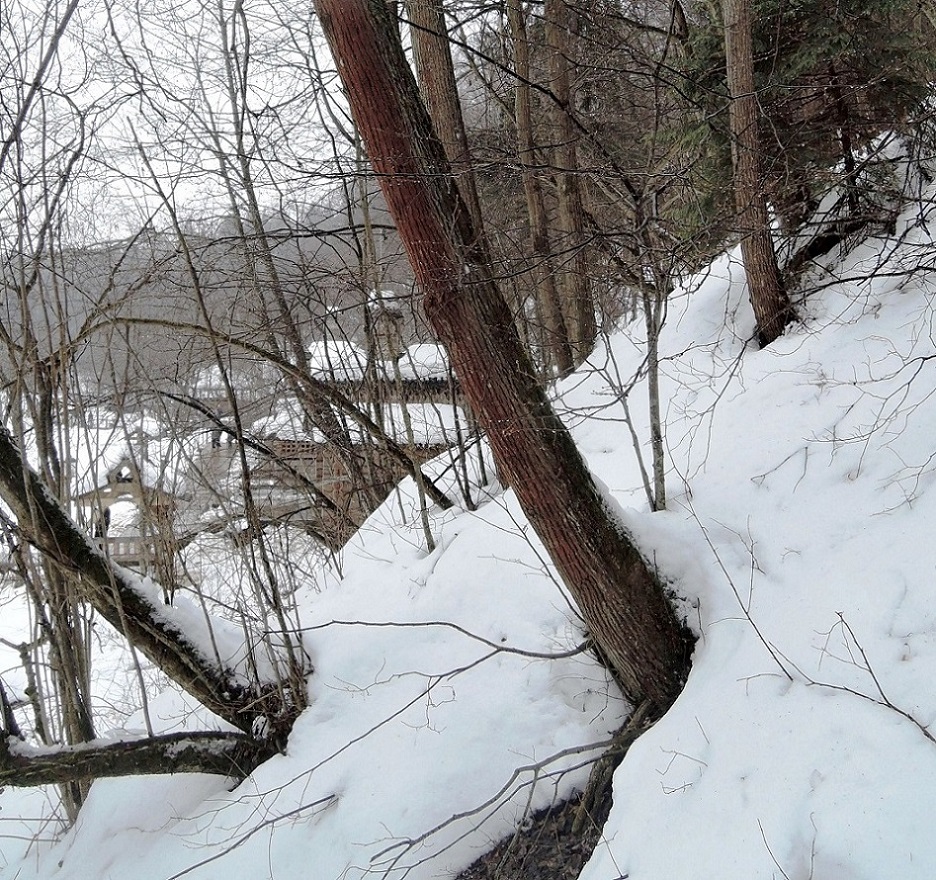 Гремячий ключ, image of landscape/habitat.