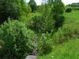 Река Мутница, image of landscape/habitat.