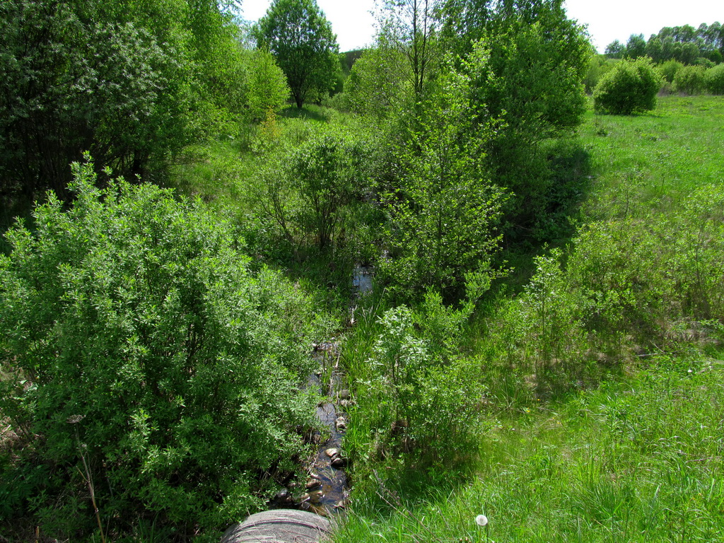 Река Мутница, image of landscape/habitat.