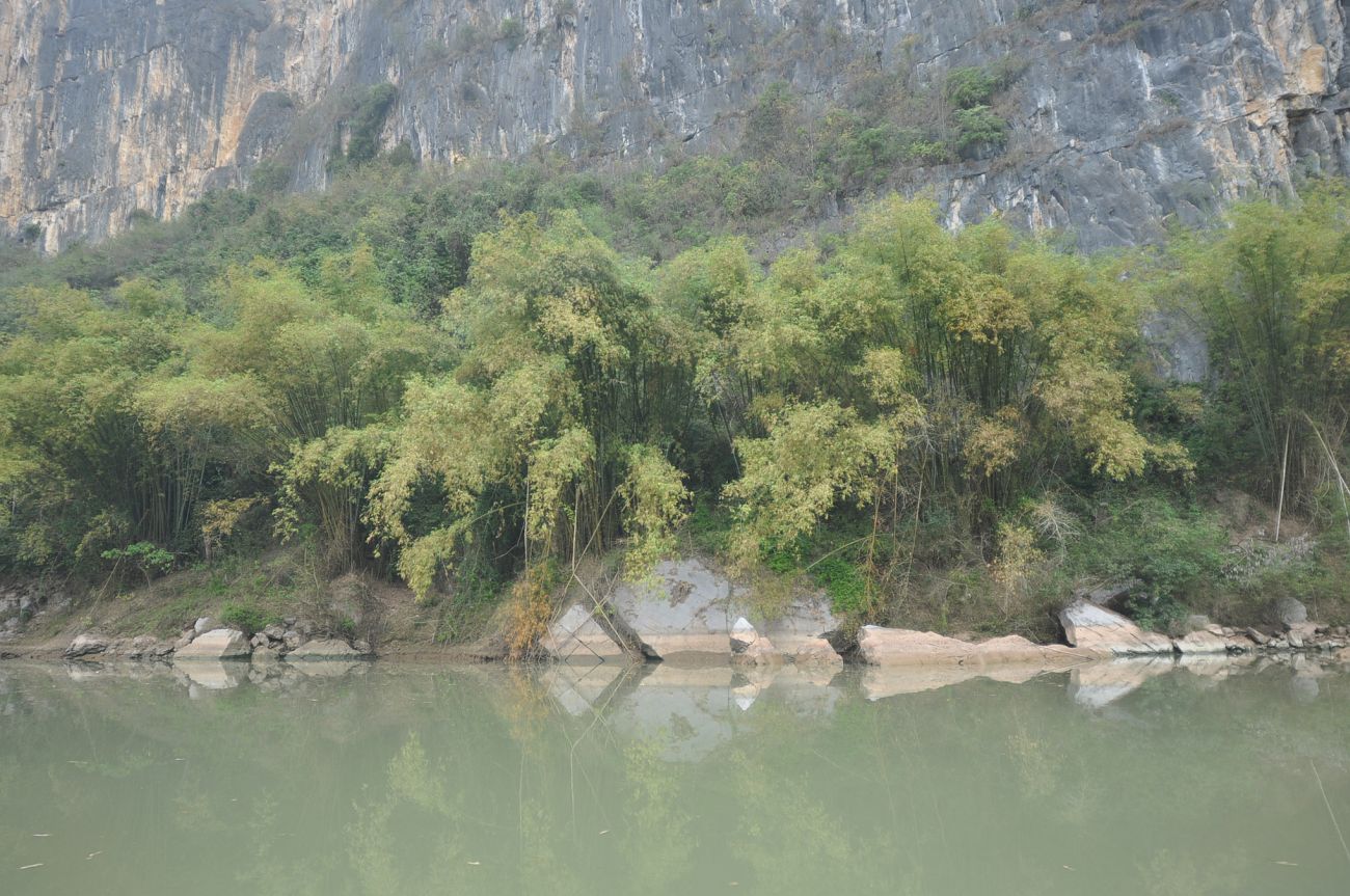 Окрестности урочища Huashan Ston, image of landscape/habitat.