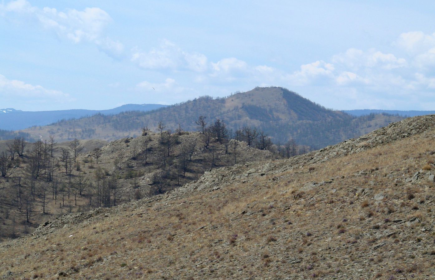 Тажеранская степь, image of landscape/habitat.