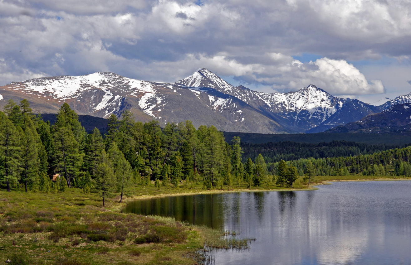 Улаганский перевал, image of landscape/habitat.