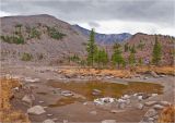 Борус, image of landscape/habitat.