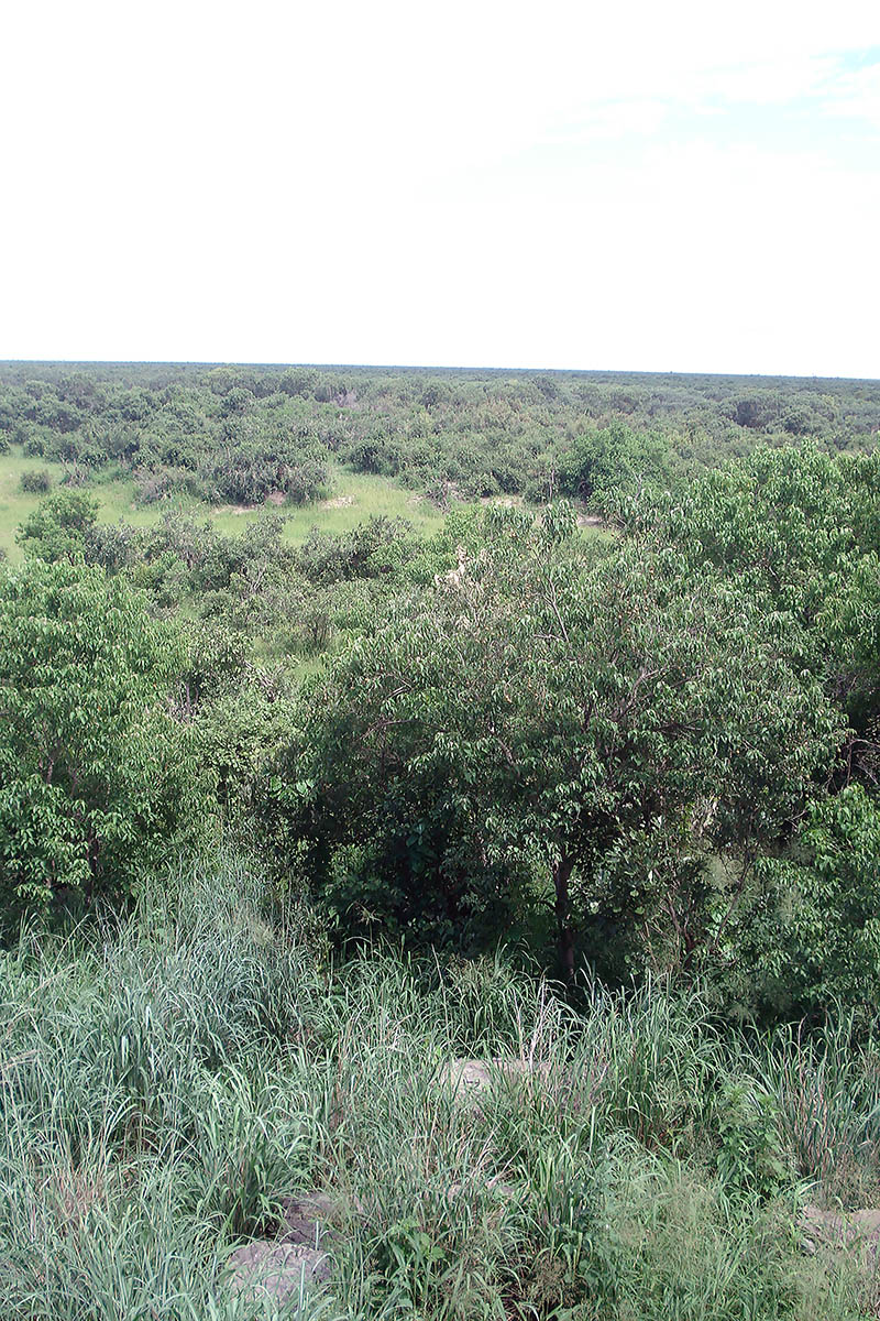 Чобо, image of landscape/habitat.