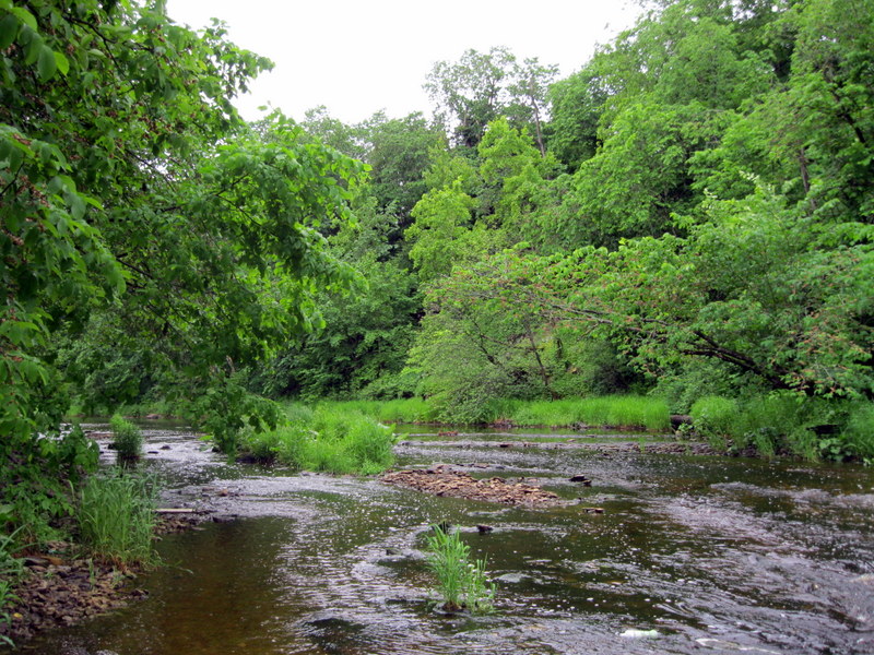 Каньон реки Лавы, image of landscape/habitat.