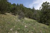 Image of landscape