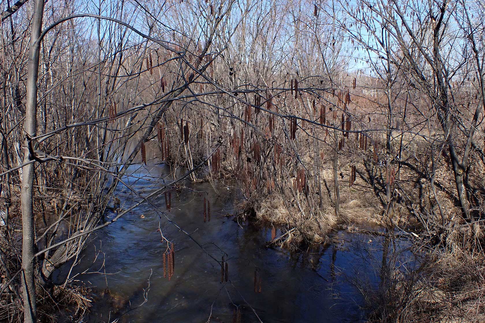 Комсомольск и окрестности, image of landscape/habitat.
