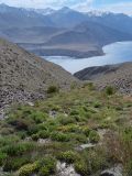 Image of landscape