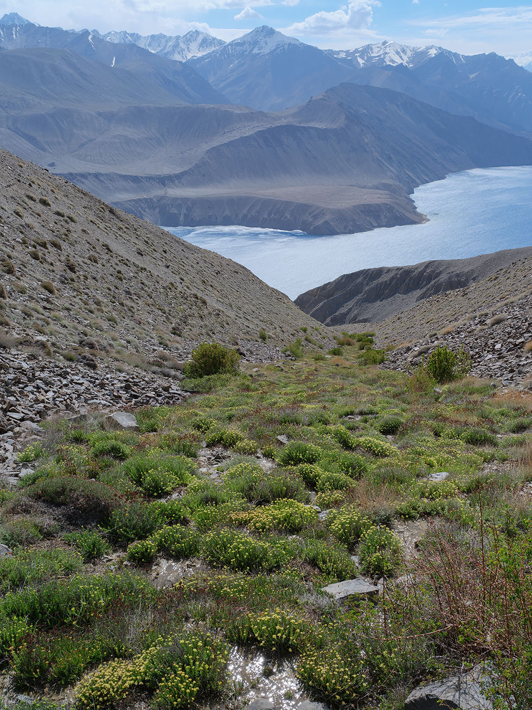 Пик Обзорный (4426 м), image of landscape/habitat.