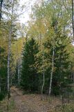 Image of landscape
