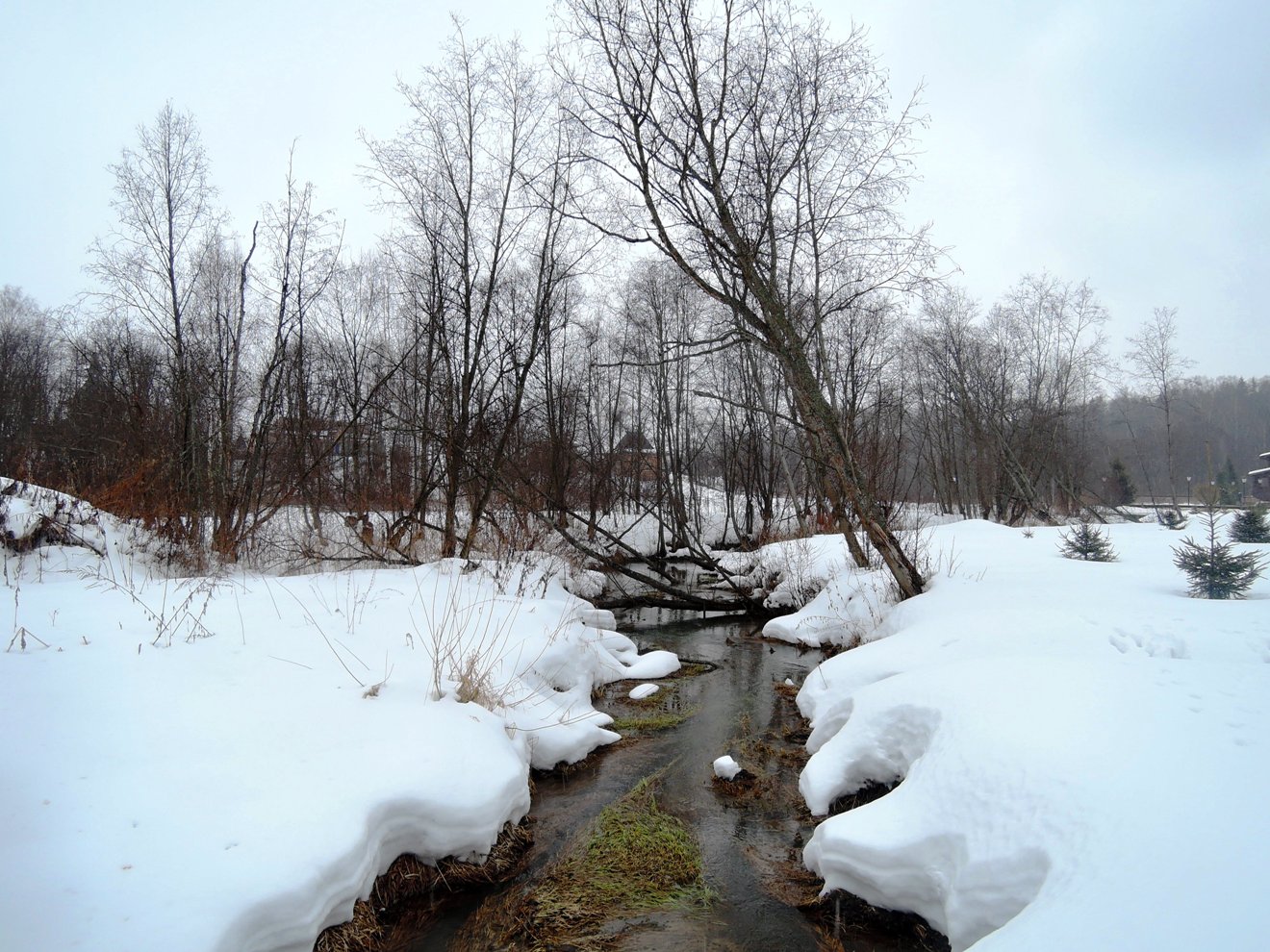 Гремячий ключ, image of landscape/habitat.