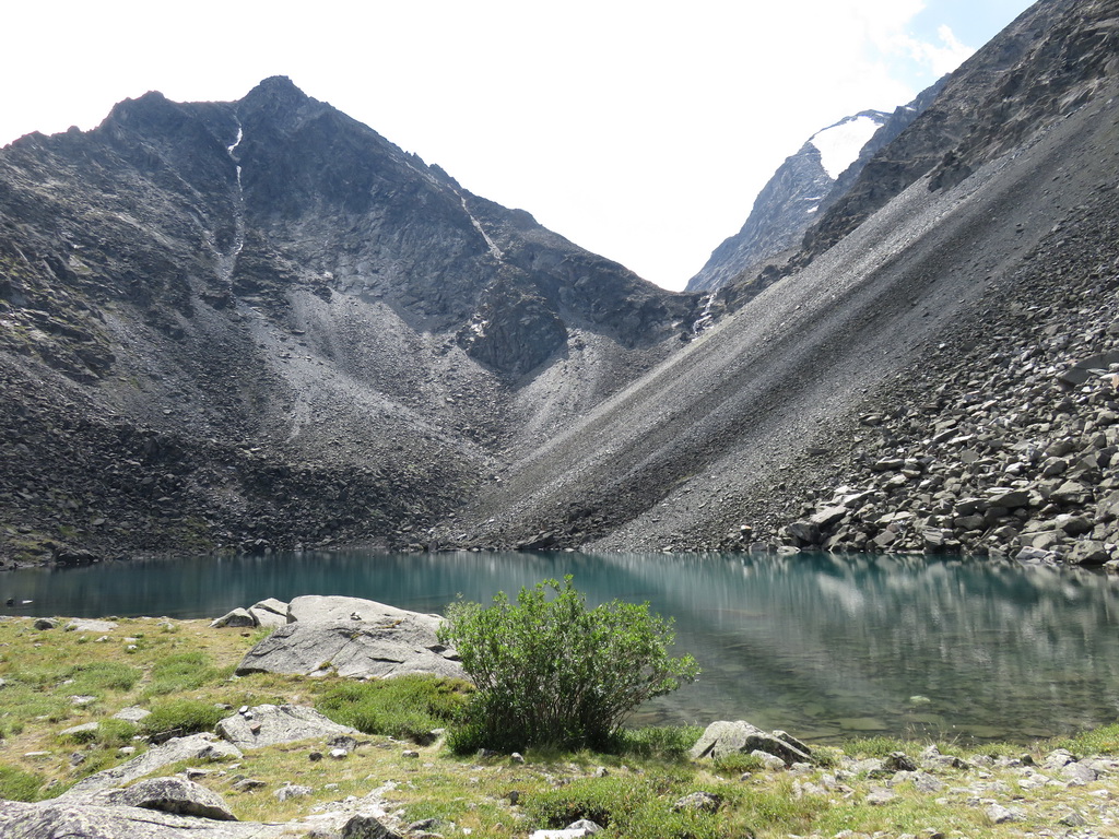 Долина ручья Кара-Оюк, image of landscape/habitat.